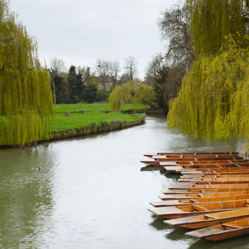A peaceful, overcast spring scene along the River Cam, with empty punts and drooping willow trees lining the calm water.