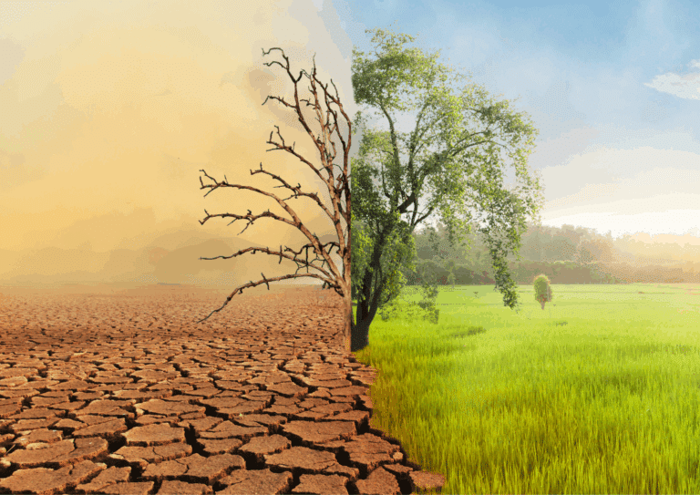 A landscape split in half showing a dry, cracked desert on one side and a green, thriving field on the other.