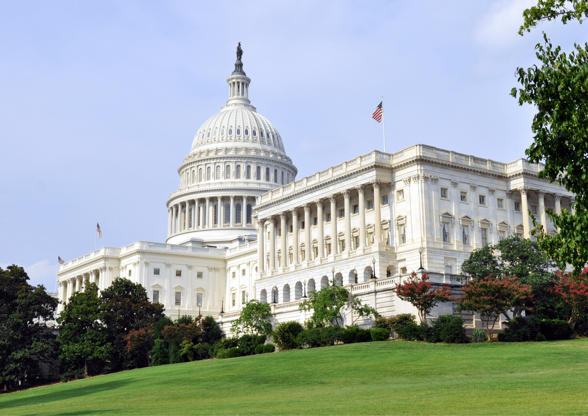 The U.S. Capitol Building in Washington, D.C. surrounded by trees and a clear blue sky.