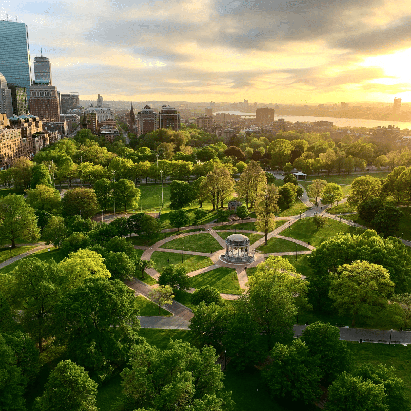 Aerial view of Boston Common at sunrise, showing green parkland, tree-lined paths and city buildings in the background under a golden morning sky.